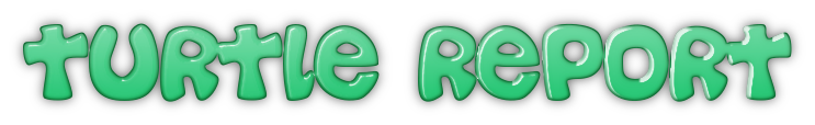 Turtle Report Header